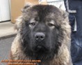 /album/kepgaleria-kelet-rettegett-kanja-back/kelet-rettegett-kanja-back-043-jpg/
